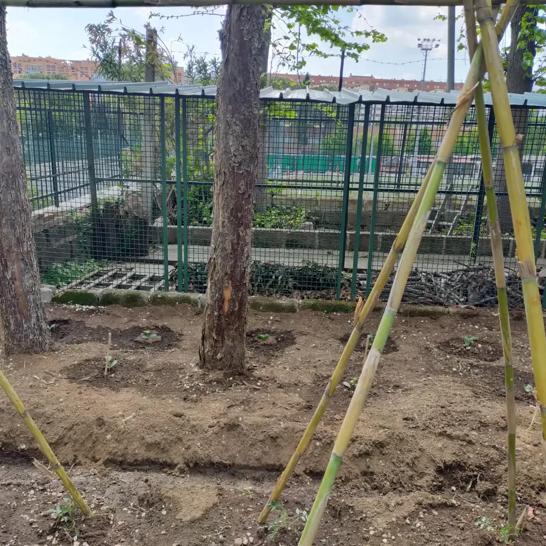 attività orto scuola infanzia