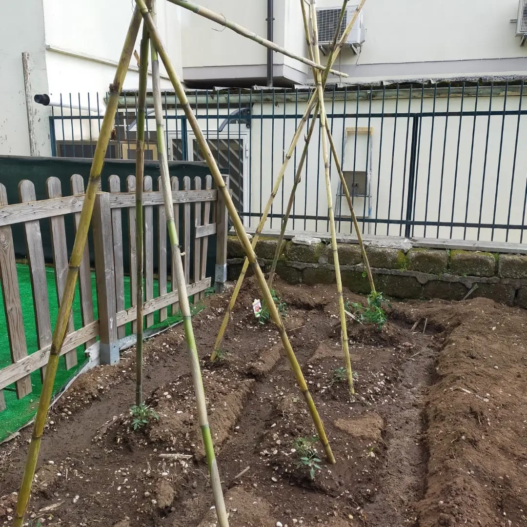 preparazione orto scuola infanzia caramella
